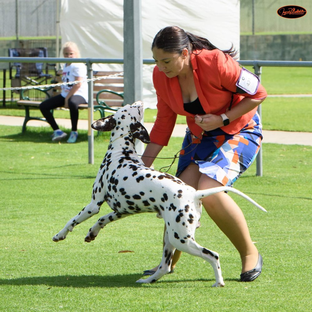 Meet your Posher, Alicia